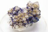 Vivid-Blue Azurite Encrusted Quartz Crystals - China #197109-1